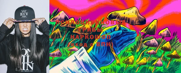 прущий лед Алексин