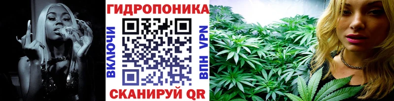 Бошки марихуана OG Kush  Миньяр 